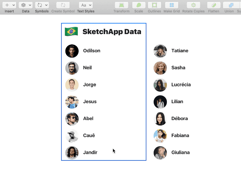 SketchApp Brazilian Data